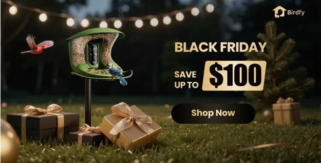 Birdfy Unveils Black Friday Deals to Save Up to $100 for Nature and Bird Lovers