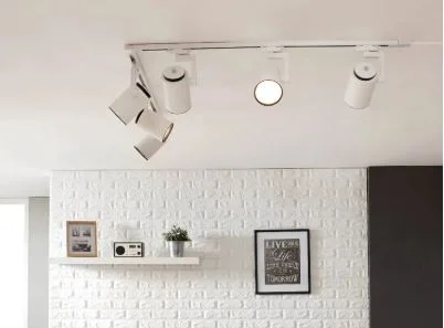 Enhance Your Home with the Perfect Track Lighting Placement