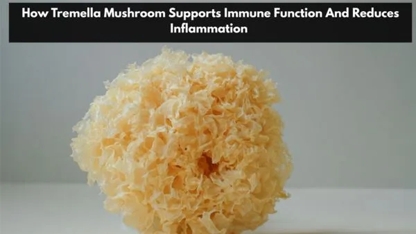 How Tremella Mushroom Supports Immune Function And Reduces Inflammation