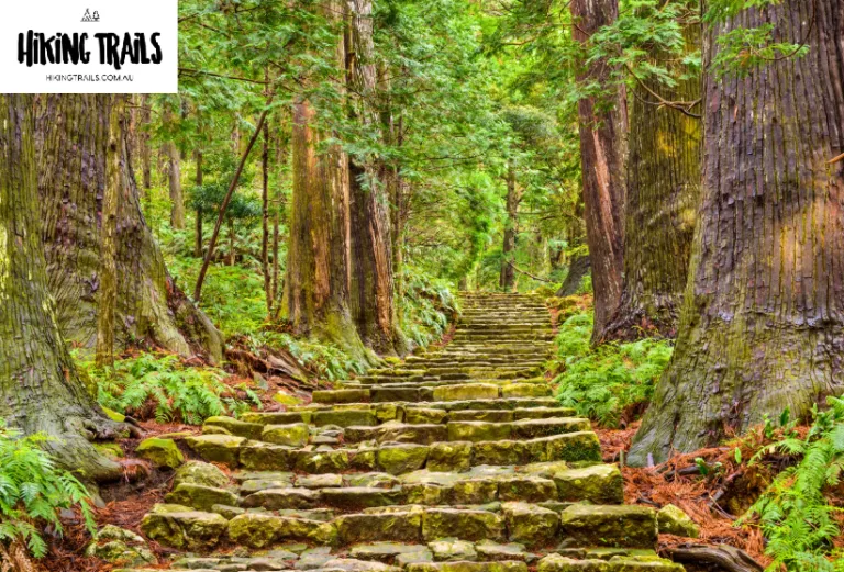 Tracing Footsteps Through History: The Allure of Japan’s Mountain Trails