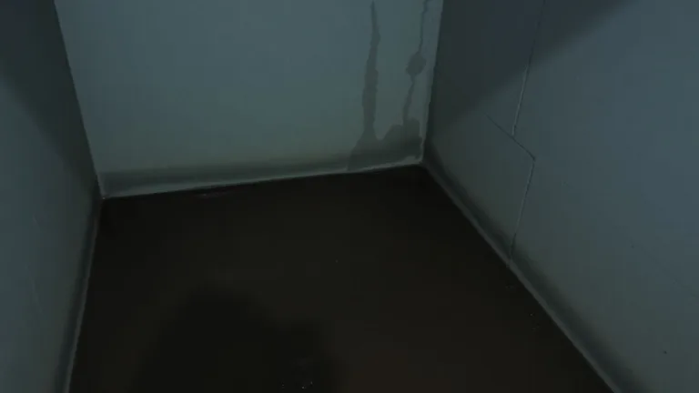 How Seattle Homeowners Can Stay Ahead of Hidden Water Damage