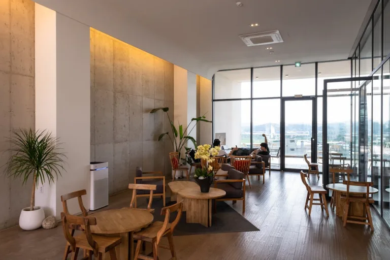 Air Purifiers: What People Really Want to Know