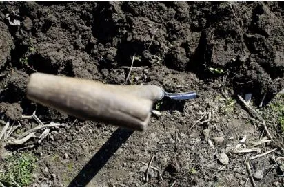 Understanding Soil Types and Their Impact on Your Home