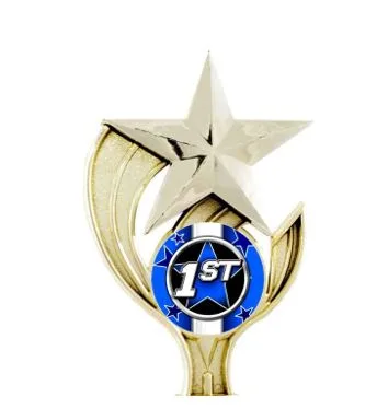 The Lasting Impact of Trophies in Modern Achievement Culture