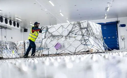 Cold Chain Logistics Explained: Keeping Perishable Goods Fresh in Transit