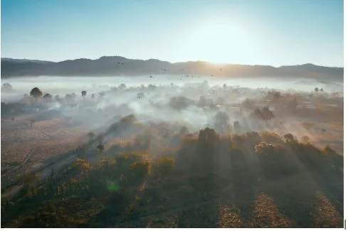 What Drugs Are Legal in New Mexico? A Comprehensive Guide for Families and Communities