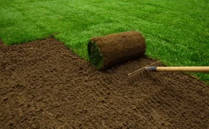 Professional Sod Installation Services Across Georgia: From Monroe to Greensboro