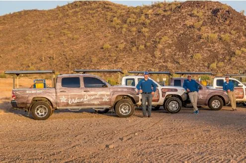 Urban Desert Pest Control: How to Protect Your Phoenix Home Year-Round