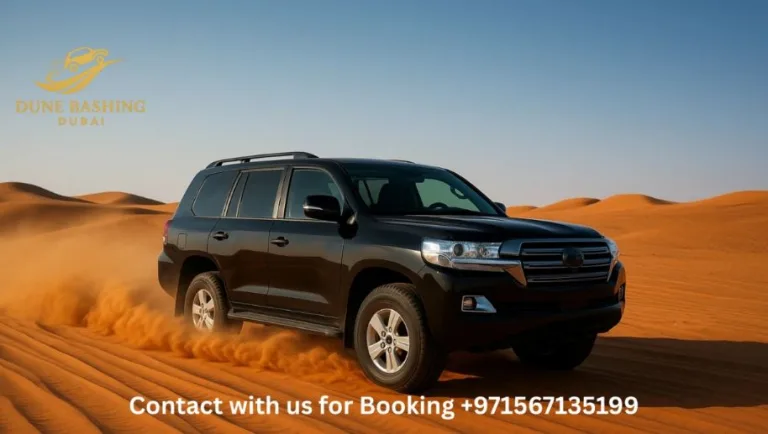 How to Plan Dubai Evening Desert Safari | Dune Bashing Dubai