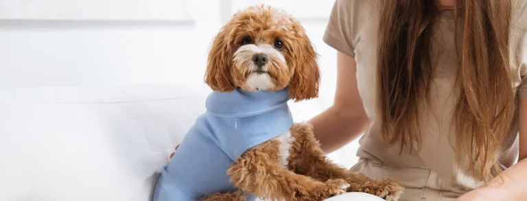 From Anxiety Vests to Calming Tech: How Global Pet Expo 2026 Is Addressing Pet Mental Health