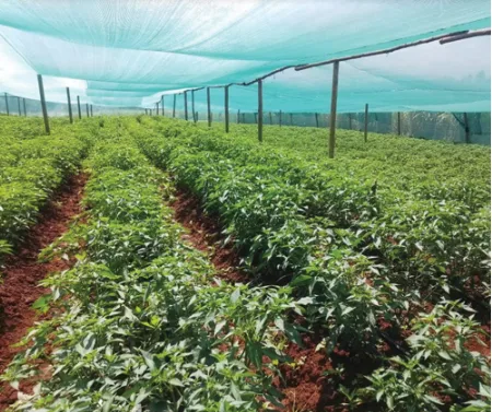 The Ideal Shade Net with Privacy Screen Fence for Your Home and Farm in Kenya