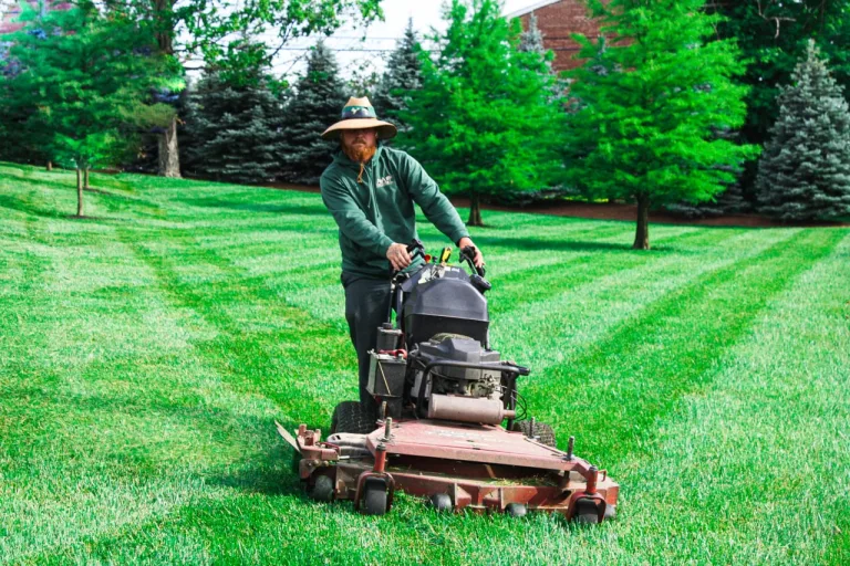 Professional Lawn Mowing Services in Minneapolis: Keeping Your Yard Beautiful Year-Round