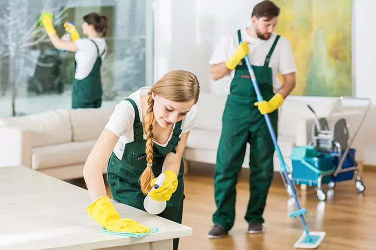Professional Cleaning Services Edmonton for Homes