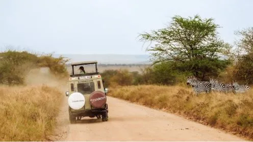 Why Safari Soles Tours Is Your Best Choice for Authentic Tanzania Safaris