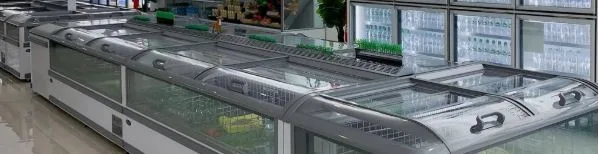 Professional Chest Display Freezer Manufacturers You Can Rely On