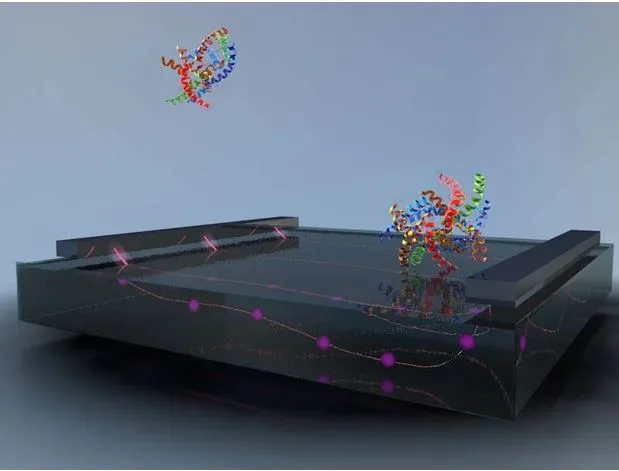 Enhancing Patient Compliance Through Medical Visualization: Technology, Education, and Clinical Outcomes