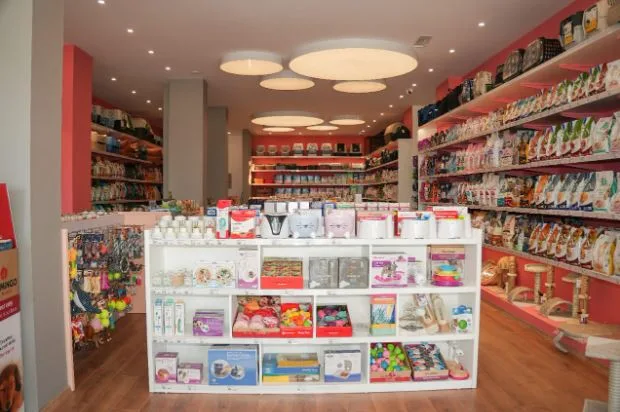 The Questions Every Dog Owner Asks About Dog Food –  The Healthiest Dog Food: What to Choose and Where to Buy It in Albania