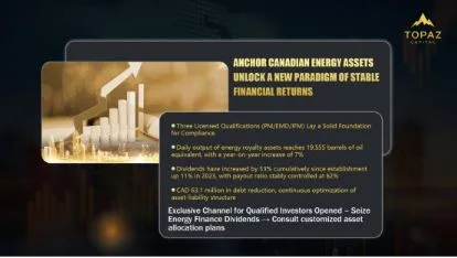 TOPAZ CAPITAL LTD.: In-Depth Analysis of Business Layout, Compliance Governance, and Investment Strategy