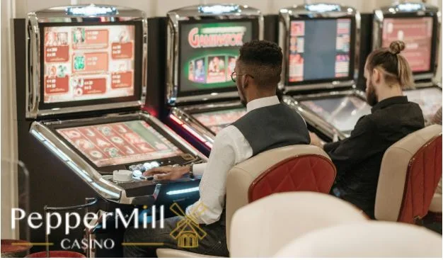 PepperMill Named The Best Online Casino in Belgium of 2026