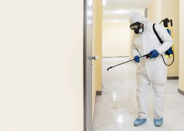 True Cost of Delaying Termite Control and How Early Action Prevents Structural Damage