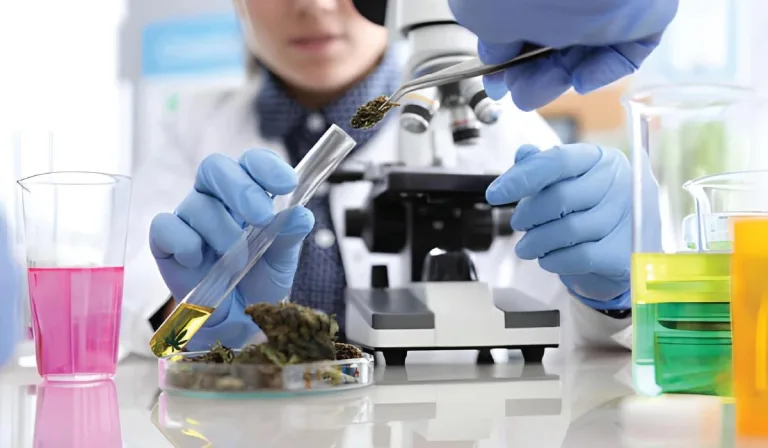 Emerging Medical Cannabis Uses Supported by Research