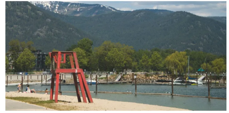 NAEGELI Deposition & Trial in Coeur d’Alene, ID, Offering Reliable Legal Support