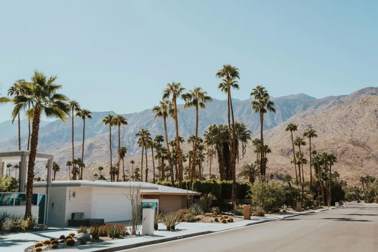 Ideal Time to Visit Palm Springs: Weather, Crowds, and What You Want to Do