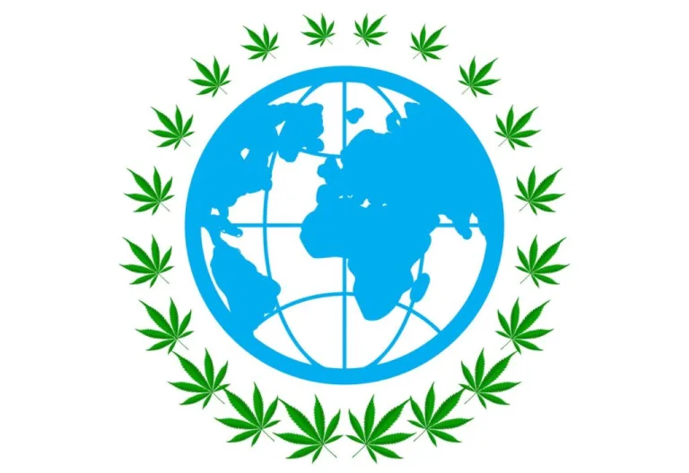 Global Cannabis Policy Shift: How International Hemp Regulation Is Reshaping Wellness Markets