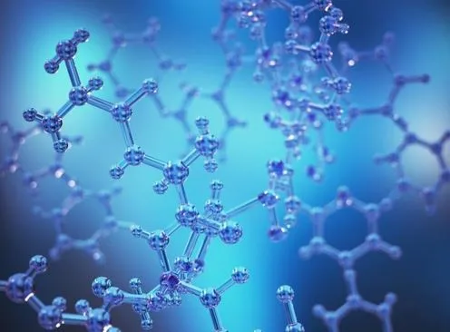 Which Peptides Are Recommended for Protein Experiments?