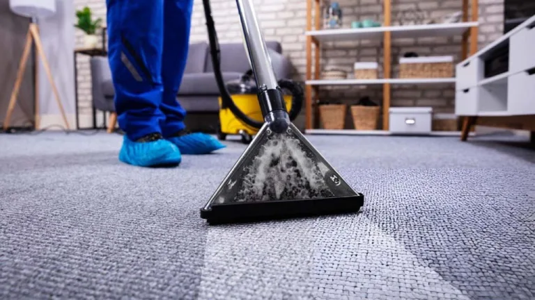 Flood Recovery and Carpet Cleaning in Sydney