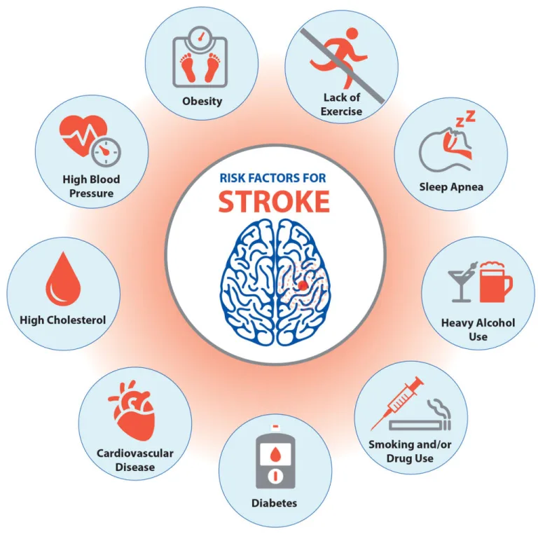 Stroke Prevention: The Daily Habits That Make a Real Difference