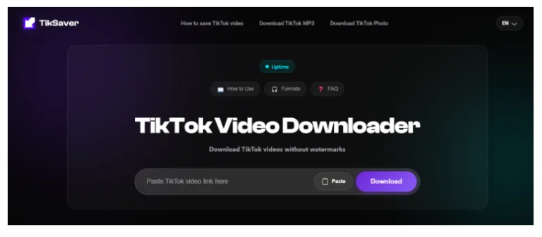 TikTok Video Downloading Tools and Social Media