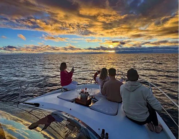 Sunsets, Whales, and Total Freedom: Why a Private Yacht Charter in Madeira is the Ultimate Choice for 2026