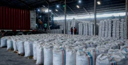 Exploring the Diversity of Indonesian Coffee in the Global Market