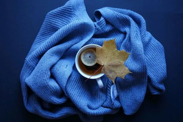 Why Dark Knitwear Is Becoming a Staple in Modern Winter Dressing