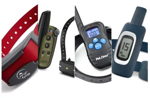 Casminton CRS01: A New Standard in Professional Dog Training Collars