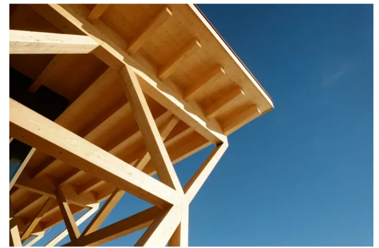 How Sustainable Lumber Choices Are Shaping the Future of Modern Construction