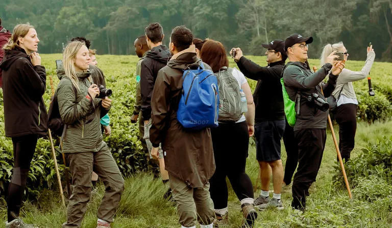 The Ultimate East Africa Adventure with Bwindi Gorilla Trekking and Rwanda Tours: