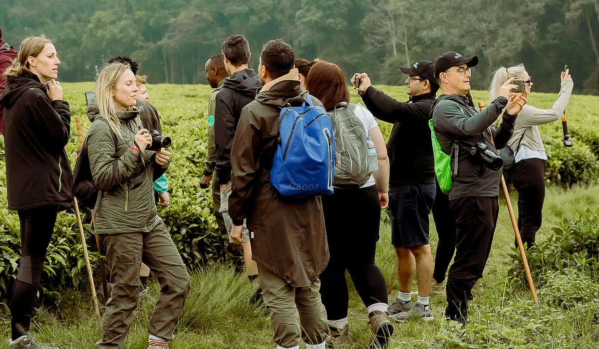 The Ultimate East Africa Adventure with Bwindi Gorilla Trekking and Rwanda Tours: