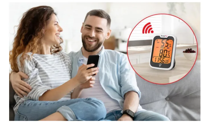 Spring Allergies: Why a Hygrometer is Your Best Defense?