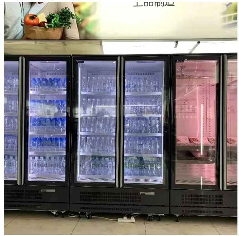 Best Chinese Upright Display Freezer Brands for Custom Projects