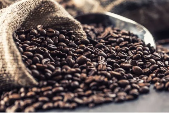 The Ultimate Guide to Choosing the Best Coffee Bean Supplier in Malaysia