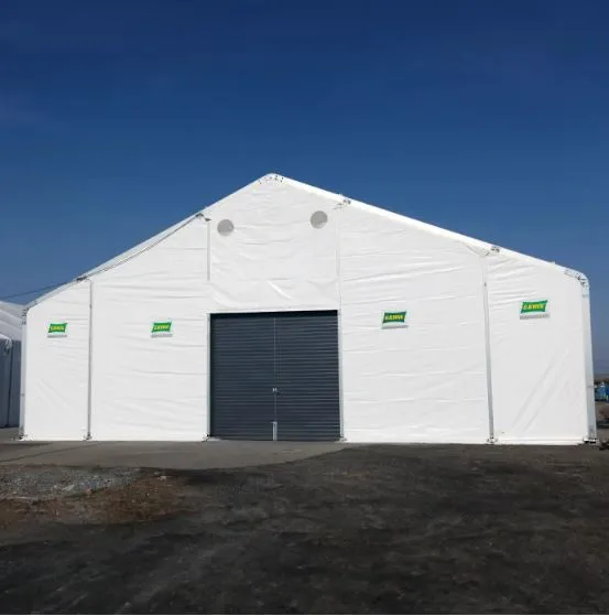 The Strategic Evolution of Spatial Logistics: Mobile Halls as Operational Buffers