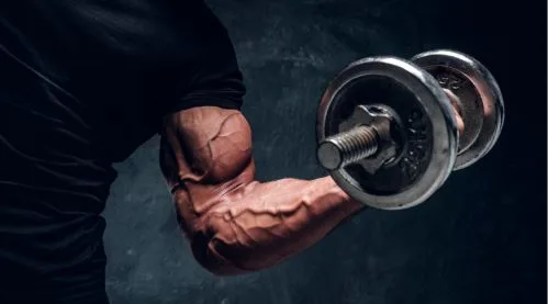 Buy Anabolic Steroids in Europe: Market Trends, Safety, and What You Should Know