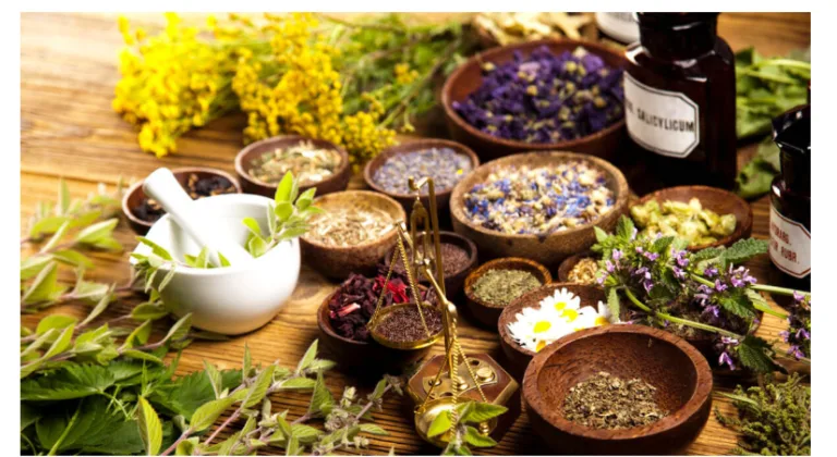 What Happens to Your Body When You Ignore Gut Health for Years (And How to Turn It Around Naturally)