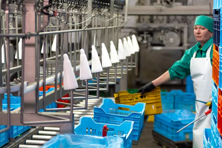 Advancing Industrial Automation with a Reliable Soft Robotics Solutions Supplier and Innovative Gripping Technology