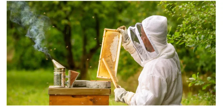 Beekeeping Suit and Beekeeping Supplies: Essential Gear for Safe and Successful Beekeeping