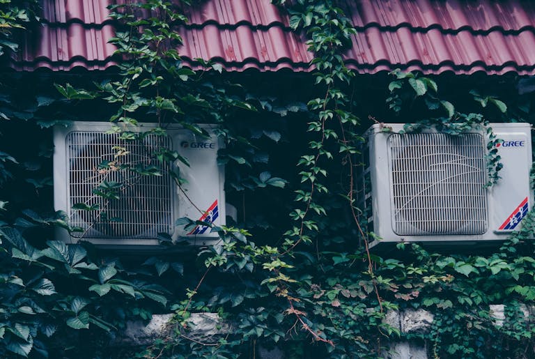 Two air conditioners on a wall covered with dense ivy vines under a tiled roof.