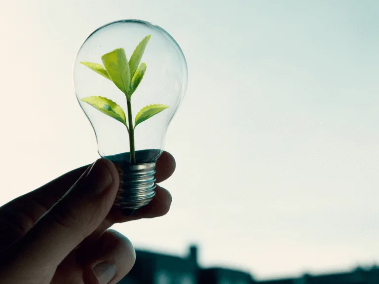 The Growing Interest in Physics-Inspired Tools for Personal and Environmental Energy Support