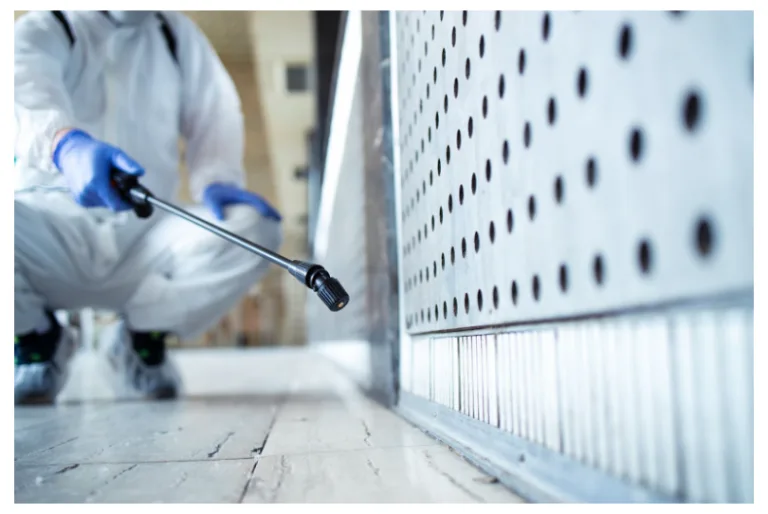 Justin Knox Explains DIY vs. Pro Pest Control Risks